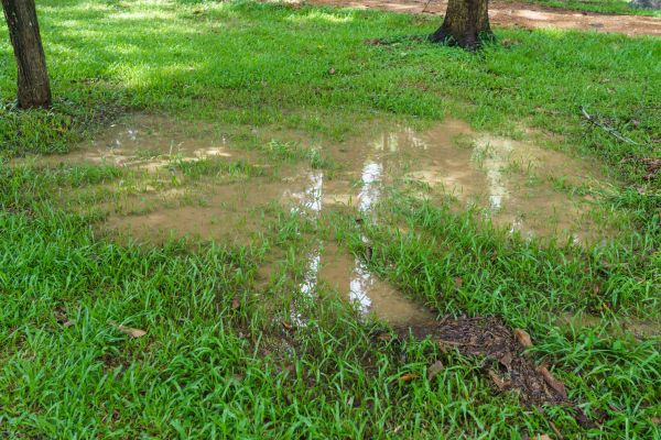 Storm Water Drainage Service in Great Falls
