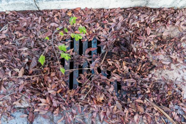 Cost of Yard Drain Unclogging in Great Falls