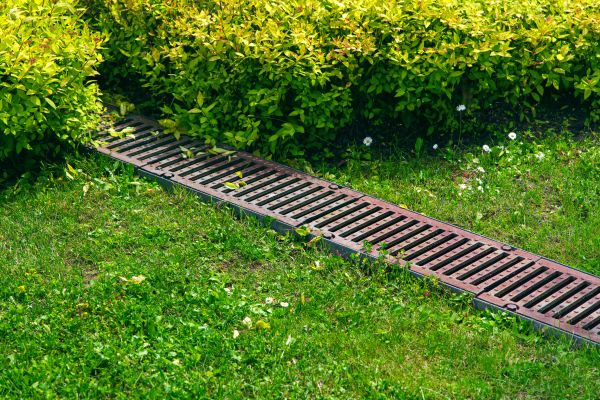 Cost of Lawn Drainage in Great Falls