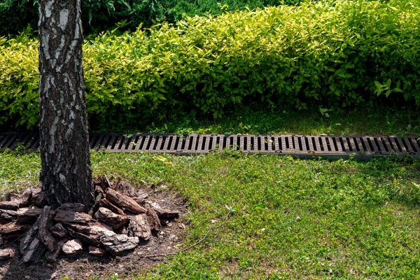 Garden Drainage Installation in Great Falls