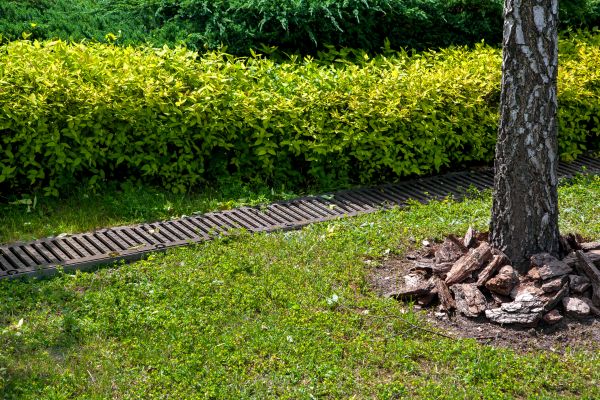 Cost of Residential Landscape Drainage in Great Falls