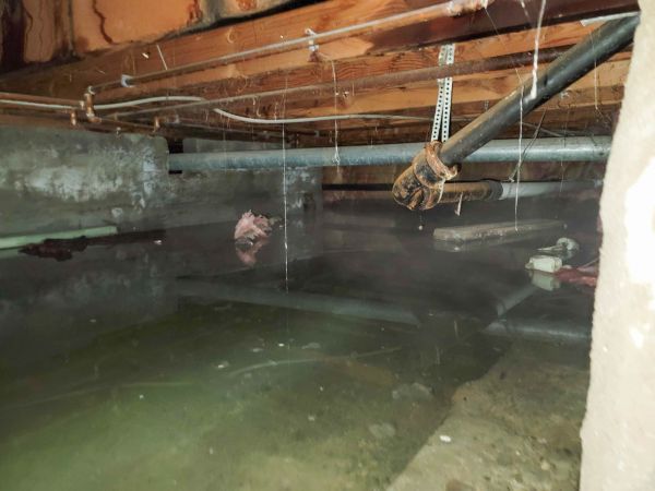 Cost of Crawlspace Drainage in Great Falls
