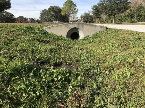 Cost of Swale Drainage Service in Great Falls