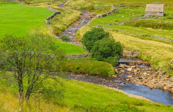 Cost of Swale Repair in Great Falls